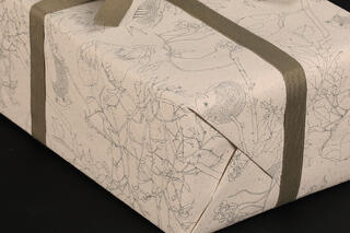 Gavepapir, Winter Birds 50 cm x 100 m