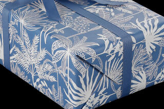 Gavepapir, Japura Blue (4) 50 cm x 100 m