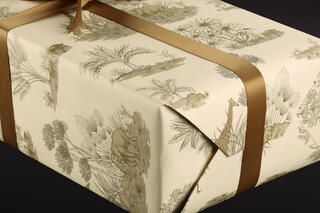 Gavepapir, Safari (5) 55 cm x 100 m