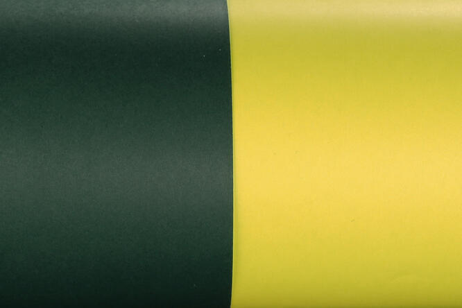 Gavepapir, Forest Green/Meadow Green (4) 50 cm x 100 m