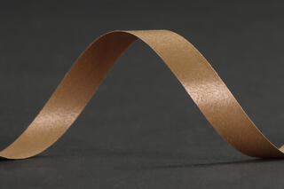 Bånd poly, Lion 10 mm x 250 m