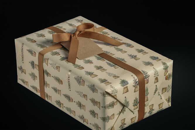 Julepapir, Little Christmas tree 55 cm x 100 m
