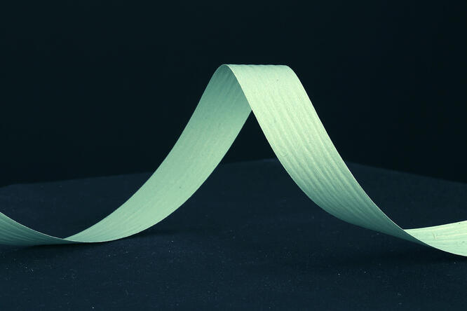 Bånd mattline, Dusty Green 19 mm x 100 m 1 rull #