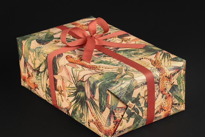 Gavepapir, Jungle Vibes (5) 55 cm x 100 m