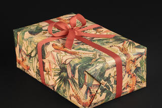 Gavepapir, Jungle Vibes (5) 55 cm x 100 m