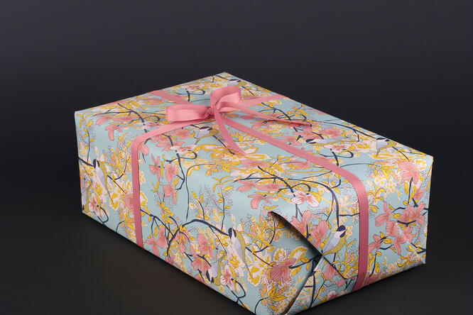 Gavepapir, Summer Birds (5) 55 cm x 120 m