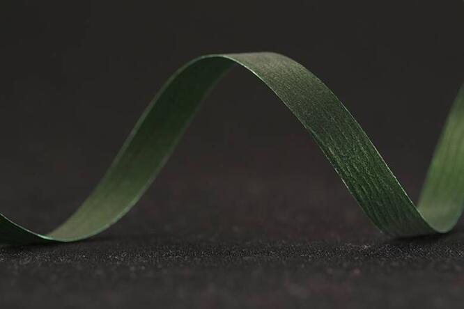 Bånd mattline, Verdant Green 10 mm x 250 m